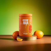 پودر آمینو مکس مکسلر Maxler Amino MaX